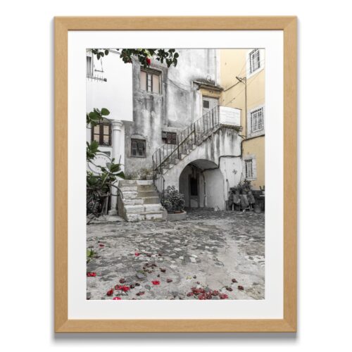 Petals On The Ground Print