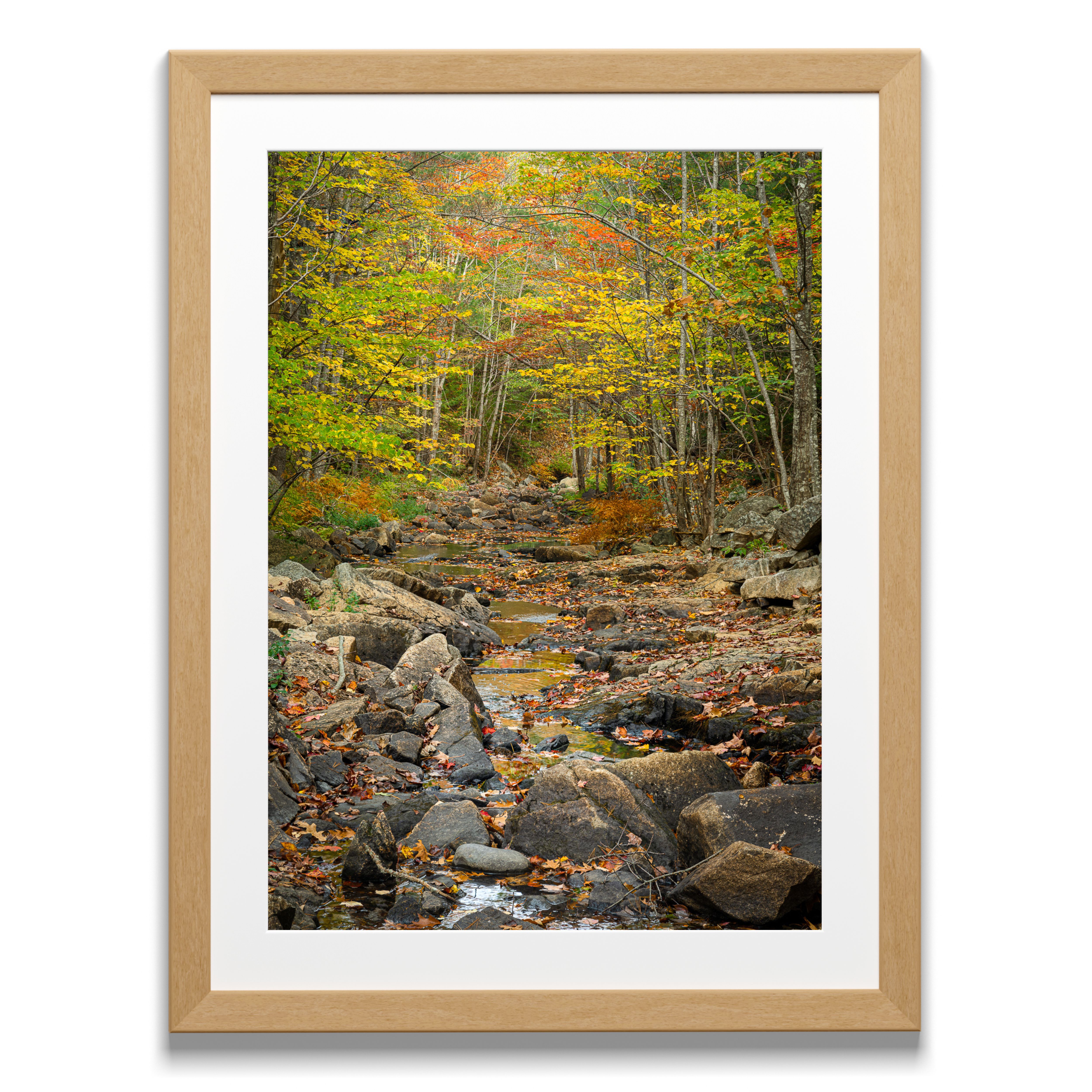 Print from Acadia National Park titled Fall at the Duck Bridge